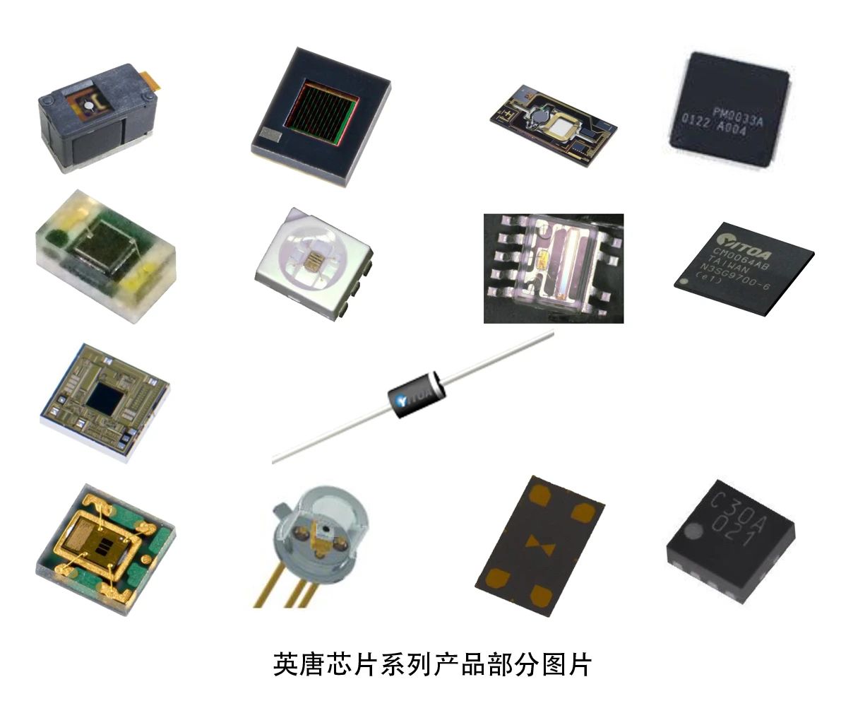 自有品牌面世 轉型穩步向前